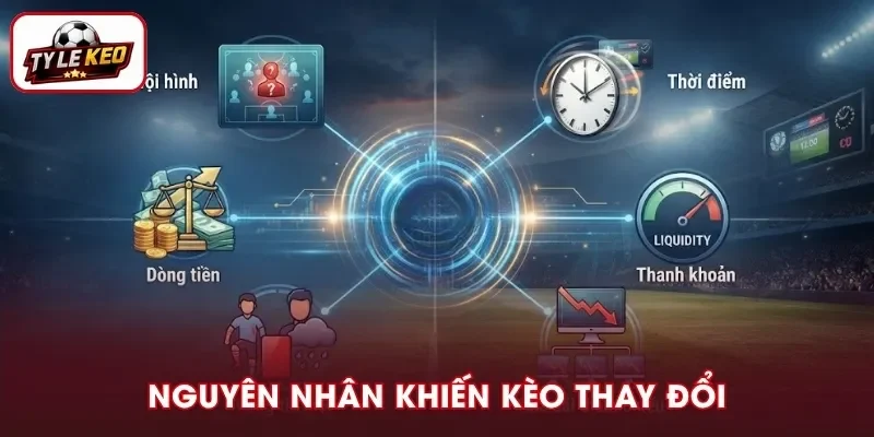 Các nguyên nhân khiến kèo biến động trên thị trường