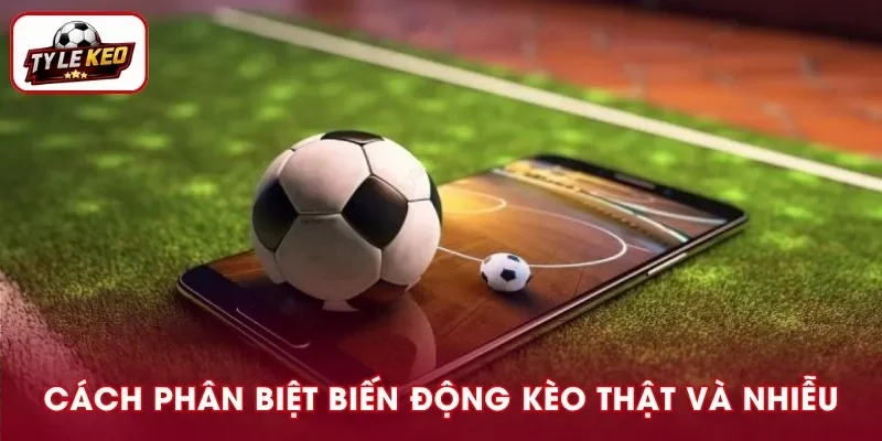 Cách Phân Biệt Biến Động Kèo Thật Và Nhiễu Chính Xác