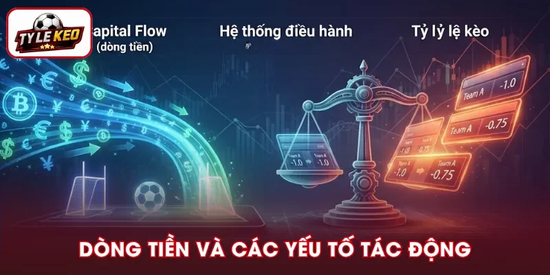 Dòng tiền ảnh hưởng tỷ lệ kèo ra sao và yếu tố liên quan