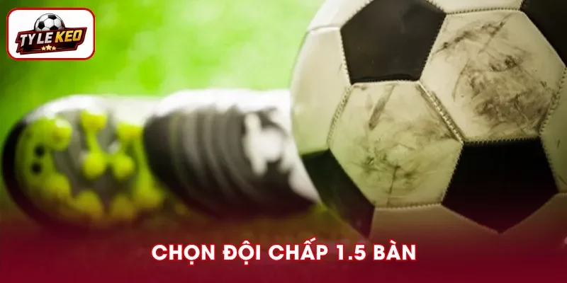 Chọn đội cửa trên 