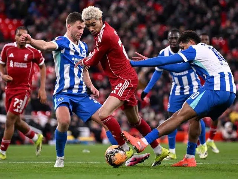 Liverpool gặp khó khi tiếp đón Brighton